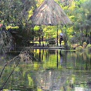 Meet your Posher, Sairac